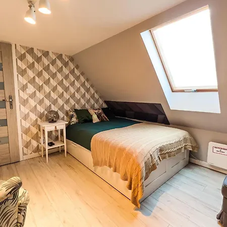 Holiday home With Sauna And Pool, 4 Bedrooms Choczewo