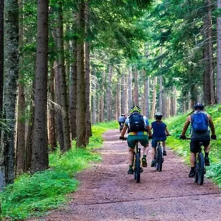 Dom wakacyjny With Sauna And Pool, 4 Bedrooms