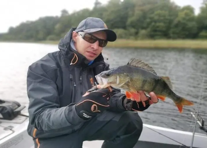 펜션 With Sauna And Pool, 4 Bedrooms *